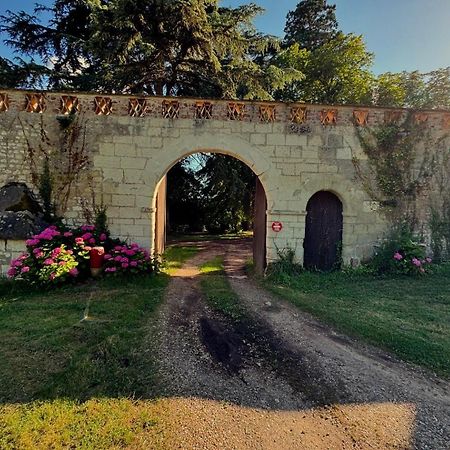 Chateau De Rys Bed & Breakfast Bossay-sur-Claise Exterior photo