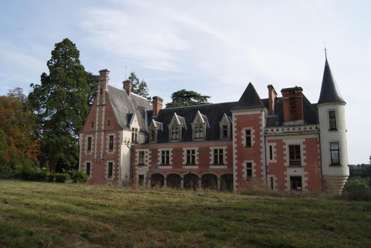 Chateau De Rys Bed & Breakfast Bossay-sur-Claise Exterior photo