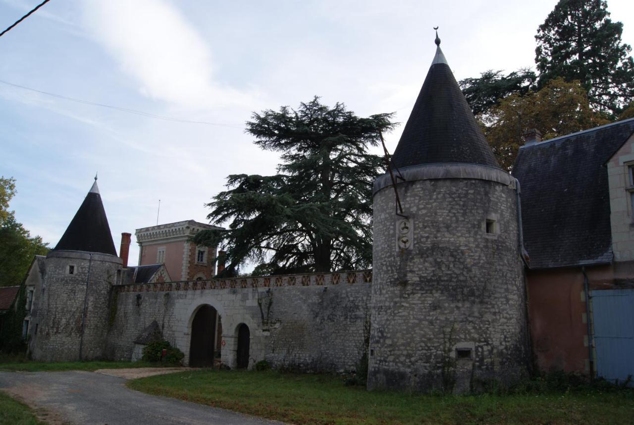 Chateau De Rys Bed & Breakfast Bossay-sur-Claise Exterior photo