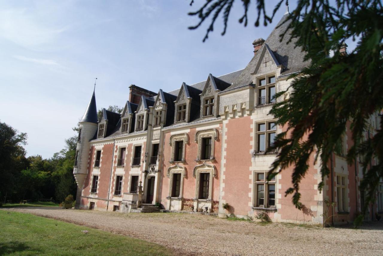 Chateau De Rys Bed & Breakfast Bossay-sur-Claise Exterior photo