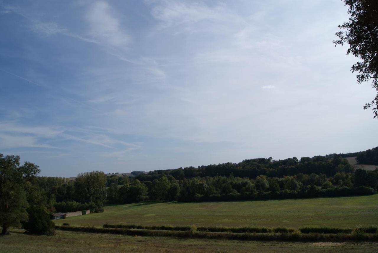 Chateau De Rys Bed & Breakfast Bossay-sur-Claise Exterior photo